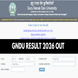 GNDU Result 2026 Released @digital.gndu.ac.in: Check Semester and Annual Exam Results Here